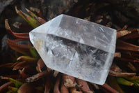 Polished Golden Limonite Veiled Clear Quartz Points  x 4 From Madagascar - TopRock