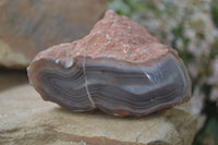 Polished River Agate Nodules  x 6 From Sashe River, Zimbabwe