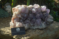 Natural Jacaranda Amethyst Cluster x 1 From Mumbwa, Zambia - TopRock