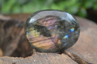 Polished Flashy Labradorite Palm Stones  x 12 From Tulear, Madagascar - Toprock Gemstones and Minerals 