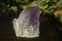 Natural Extra Large Single Jacaranda Amethyst Crystals  x 6 From Zambia - Toprock Gemstones and Minerals 