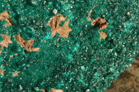 Natural XXXL Exceptional Dioptase Specimen (Second Largest In The World!) x 1 From Tantara, Congo - TopRock