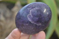 Polished Purple Lepidolite Palm Stones  x 12 From Zimbabwe