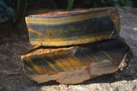 Natural Golden Blue Tigers Eye Specimens  x 2 From Prieska, South Africa - TopRock