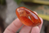 Polished  Carnelian Agate Palm Stones  x 12 From Madagascar