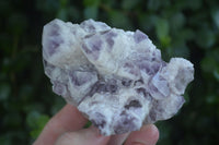 Natural Sugar Amethyst Clusters  x 6 From Solwezi, Zambia - Toprock Gemstones and Minerals 