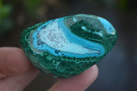 Polished Malacholla (Malachite & Chrysocolla) Free Forms  x 6 From Kulukuluku, Congo - Toprock Gemstones and Minerals 