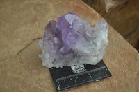 Natural Jacaranda Amethyst Clusters  x 3 From Mumbwa, Zambia - Toprock Gemstones and Minerals 