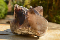 Natural Extra Large Self Healed Smokey Quartz Crystal Cluster  x 1 From Mt. Mulanje, Malawi - TopRock