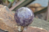 Polished Purple Mica Lepidolite Spheres  x 4 From Madagascar - TopRock