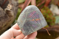 Polished Rare Purple Flash Labradorite Standing Free Forms  x 6 From Tulear, Madagascar - TopRock