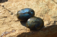 Polished Flashy Labradorite Palm Stones  x 12 From Tulear, Madagascar - TopRock