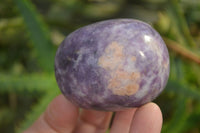 Polished Purple Lepidolite Palm Stones  x 12 From Zimbabwe