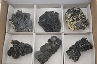 Natural Medium Sized Schorl / Black Tourmaline Specimens x 6 From Erongo, Namibia