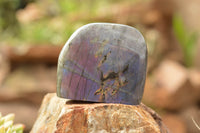 Polished Rare Purple Flash Labradorite Standing Free Forms  x 6 From Tulear, Madagascar - TopRock