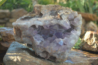 Natural Jacaranda Amethyst Cluster x 1 From Mumbwa, Zambia - TopRock