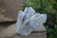 Natural Sugar Amethyst Clusters  x 6 From Solwezi, Zambia - Toprock Gemstones and Minerals 