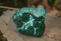 Polished Malachite Free Forms With Stunning Flower & Banding Patterns x 3 From Congo - TopRock