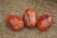 Polished Vibrant Carnelian Agate Palm Stones  x 35 From Madagascar - TopRock