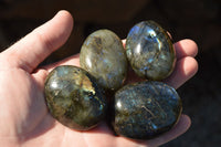 Polished Flashy Labradorite Palm Stones  x 12 From Tulear, Madagascar - TopRock