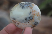 Polished Yellow Dendritic Agate Palm Stones  x 12 From Madagascar - Toprock Gemstones and Minerals 