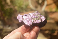 Natural Selected Rough Purpurite Specimens  x 12 From Uis, Namibia - TopRock