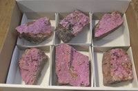 Natural Pink Salrose Cobaltion Dolomite Specimens  x 6 From Kakanda, Congo