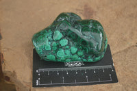 Polished Malachite Free Forms With Stunning Flower & Banding Patterns x 6 From Congo - TopRock