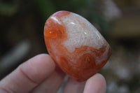 Polished Small Carnelian Agate Standing Free Forms  x 12 From Madagascar