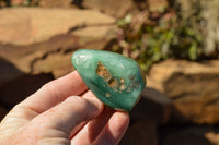 Polished Green Mtorolite / Emerald Chrysoprase Palm Stones  x 12 From Southern Africa - TopRock