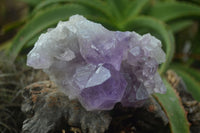 Natural Jacaranda Amethyst Clusters  x 3 From Mumbwa, Zambia - Toprock Gemstones and Minerals 