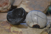 Polished Septaria Nodules x 6 From Mahajanga, Madagascar