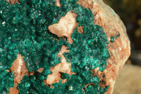 Natural XXXL Exceptional Dioptase Specimen (Second Largest In The World!) x 1 From Tantara, Congo - TopRock