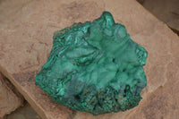 Natural Large Botryoidal Crystalline Malachite Specimen  x 1 From Congo