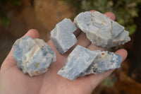 Natural New Sky Blue Calcite Specimens  x 15 From Spitzkop, Namibia