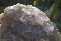 Natural Jacaranda Amethyst Cluster x 1 From Mumbwa, Zambia - TopRock