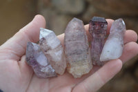 Natural Single Window Amethyst Crystals  x 12 From Chiredzi, Zimbabwe