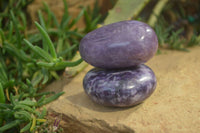 Polished Purple Lepidolite Palm Stones  x 12 From Zimbabwe