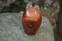 Polished Small Carnelian Agate Standing Free Forms  x 12 From Madagascar