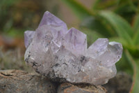 Natural Amethyst Crystal Specimens x 12 From Zambia - TopRock