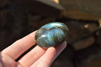 Polished Flashy Labradorite Palm Stones  x 12 From Tulear, Madagascar - TopRock