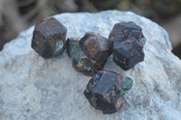 Natural Red Pyrope Garnet Crystal Specimens  x 35 From Karibib, Namibia - Toprock Gemstones and Minerals 