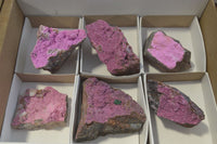 Natural Pink Salrose Cobaltion Dolomite Specimens  x 6 From Kakanda, Congo