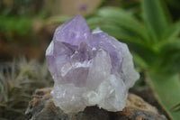 Natural Jacaranda Amethyst Clusters  x 3 From Mumbwa, Zambia - Toprock Gemstones and Minerals 