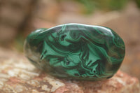 Polished Malachite Free Forms With Stunning Flower & Banding Patterns x 6 From Congo - TopRock