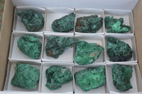 Natural Chatoyant Silky Malachite Specimens  x 12 From Kasompe, Congo