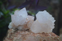 Natural Small Cactus Flower Quartz Specimens  x 24 From Boekenhouthoek, South Africa - Toprock Gemstones and Minerals 