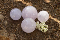 Polished Rare Blue Rose Quartz Spheres With Asterisms  x 4 From Madagascar - TopRock