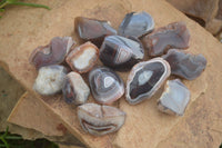 Polished Red River Agate Nodules  x 13 From Sashe River, Zimbabwe - Toprock Gemstones and Minerals 