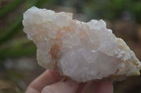 Natural White Cactus Flower Spirit Quartz Specimens  x 6 From Boekenhouthoek, South Africa - Toprock Gemstones and Minerals 